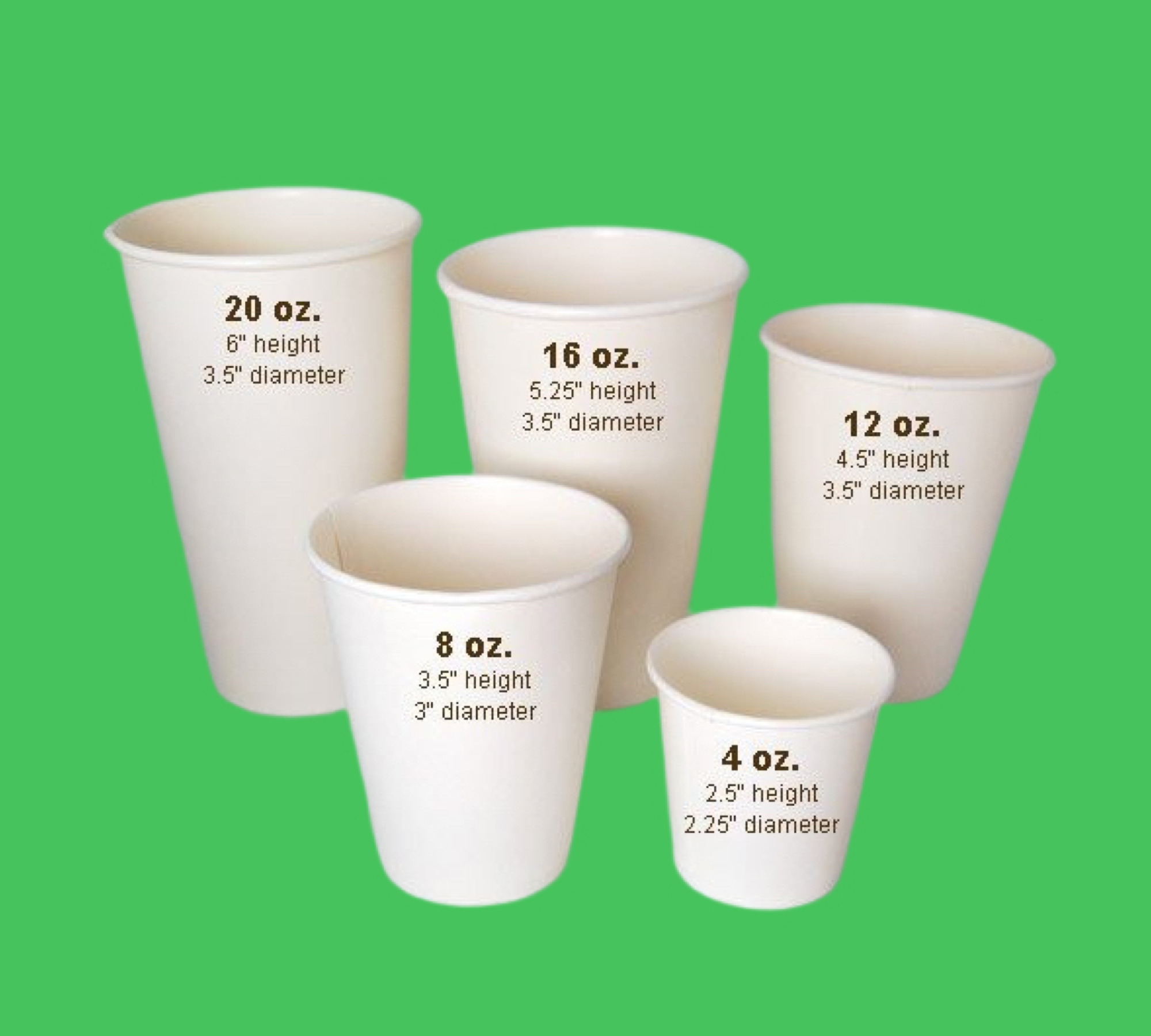 Paper Hot Cups| The Barrington Company